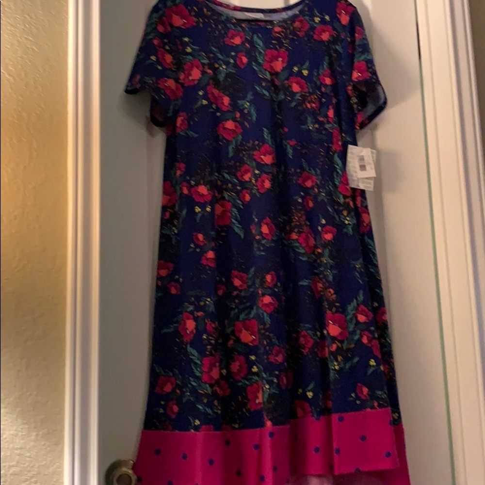 LuLaRoe Carly Dress